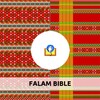 Icon von Falam Bible