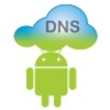 DNS Server icon