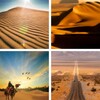 Desert Wallpapers: HD Images,Free Pics download icon