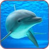 Dolphin Wallpaper HD icon