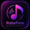 Icona di PulseTune