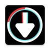 SaveTok Downloader for TT icon