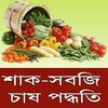 শাক-সবজি চাষ পদ্ধতি icon