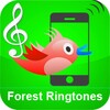 Birds Ringtones - Awesome icon