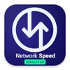 Net Speed Indicator icon