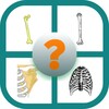 Test imágenes Anatomía icon