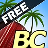 Beach Cricket icon