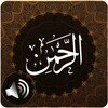 أيقونة Surah Rahman Audio