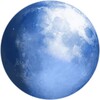 Pale Moon web browser icon