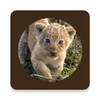 أيقونة Animal Sounds