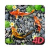 4D Koi Fish Water Live Wallpaper icon