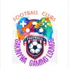 FOOTBALL CLUBS icon