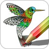 Colouring icon