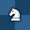 Chess Online & Offline feature