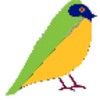 AndBird - Music Player icon