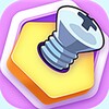 Real Screw Master icon