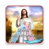 Divina Misericordia icon