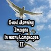 صور صباح الخير في العديد من اللغات icon