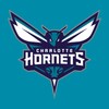 Hornets icon