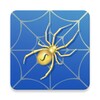 Spider Solitaire icon