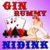 Gin Rummy Nidink icon