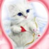 Blue Eyes Cat With Arrow Live icon