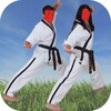 Karate Training icon