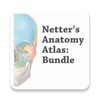 Ikon Anatomy Atlas, USMLE, Clinical