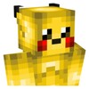 Pokemon Skins minecraft icon