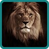 Lion Hero Game icon