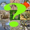 Test reptiles, peces, anfibios icon