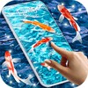 Fish 4K HD Koi Live Pond 3D icon