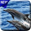 Icon von Dolphins Video Live Wallpaper