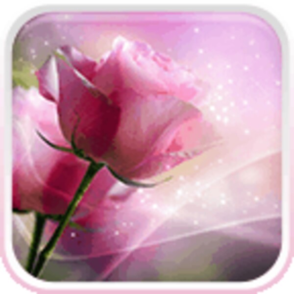 Pink Roses Live Wallpaper for Android - Download the APK from Uptodown