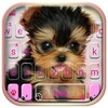 Cute Tongue Cup Puppy icon