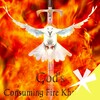 Икона God Consuming Fire Khalisyah