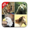 170 Animal Sounds icon