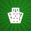 Икона Scopa