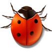 Coccinella feature