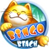 Bingo Beach 图标