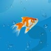 AquaLife 3D icon