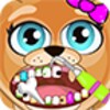 Celebrity Dentist Office Pets Free icon