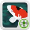 GO Locker Lucky Fishpond Theme icon