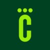 Икона Столичная