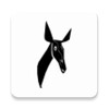 Radio Okapi App icon