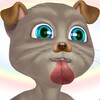 Real Talking Cat icon