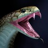 Snake Wallpapers icon