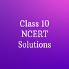 Icône Class 10 Solutions and Books