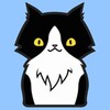 Cat Game icon