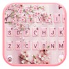 Sakura Floral Theme icon